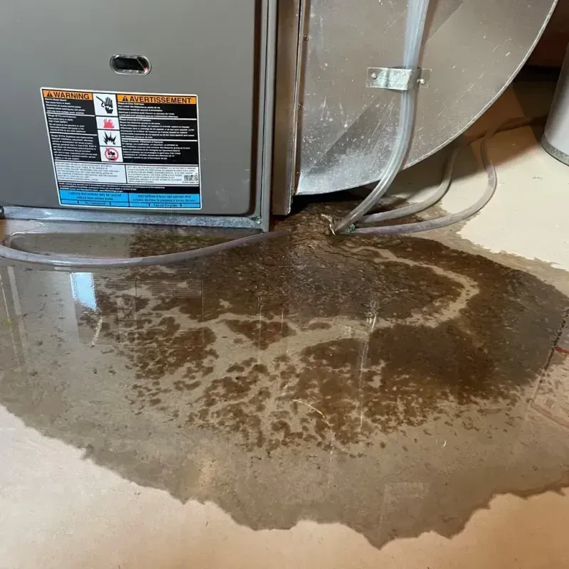 Appliance Leak Cleanup in Grangeville, ID